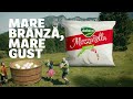 Delaco Mozzarella Fresca