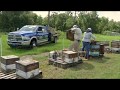 District lands accommodate nature’s “sweetest” worker, the honey bee
