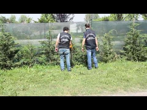 Correggio: polizia scientifica al campo nomadi