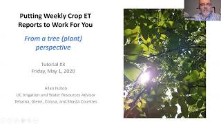 Tutorial #3: Using Crop ET Reports From a Tree Water Status Perspective