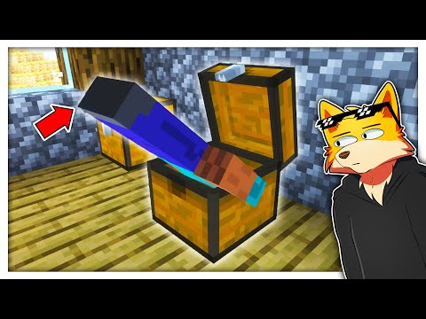 Minecraft Non ha Senso.