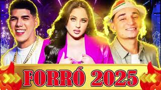SELEÇÃO FORRÓ PRA PAREDÃO 2025 - VERÃO 2025 - ZÉ VAQUEIRO, JOÃO GOMES, MARI FERNANDEZ , NATTAN...