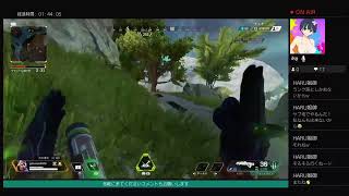 APEX ソロデュオ