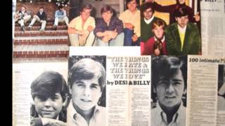 Dino, Desi and Billy - The Rebel Kind