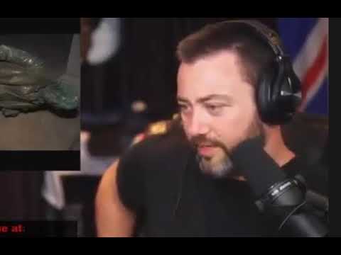 SARGON'S VIEW ON PATRIOTIC ALTERNATIVE