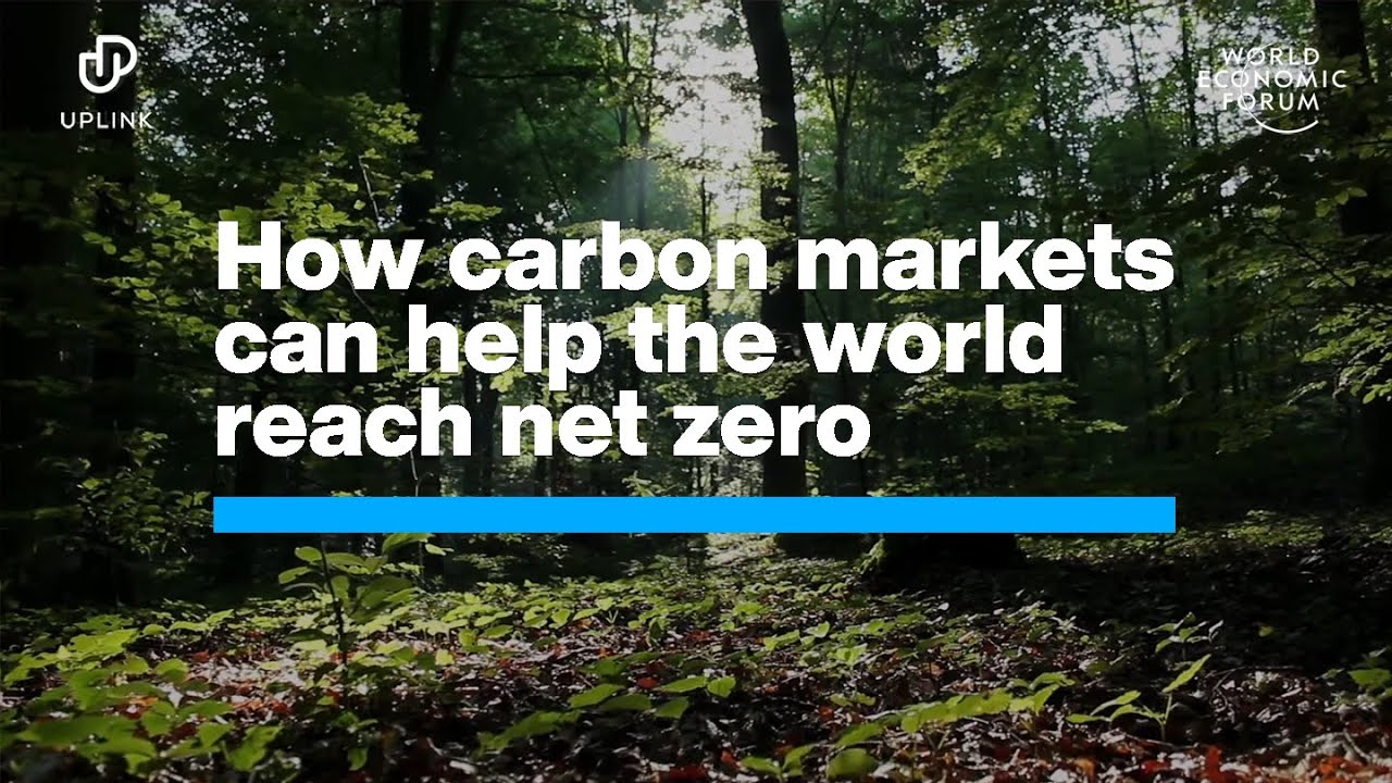 How Carbon Markets Can Help the World Reach Net Zero | Uplink | World Economic Forum
