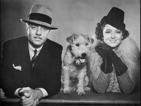 Is It Possible- Mike Speciale Orchestra