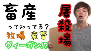 畜産とは何なのかを徹底解説します！授業では聞かない事