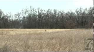 Illinois Whitetail Alliance addresses concerns on low deer population