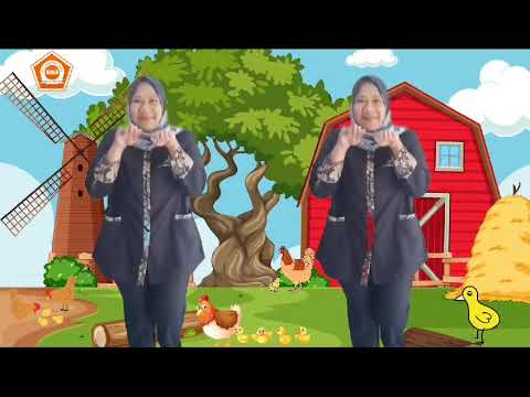 Gerak dan Lagu- Senam Hewan- Ayam Piyik-Anak TK