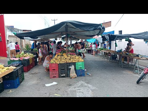 Mostrando a feira do pacuja município do graças 