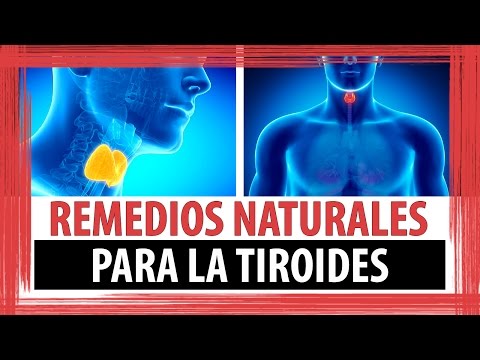 Descargar 4 REMEDIOS NATURALES PARA LA TIROIDES gratis mp3 
