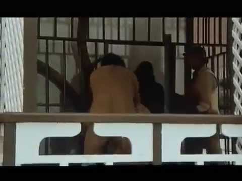 Krokodil und sein Nilpferd  Grau Grau Grau Deutsche Version