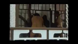 Krokodil und sein Nilpferd  Grau Grau Grau Deutsche Version