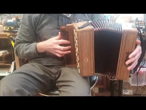 Quinn C# D accordion
