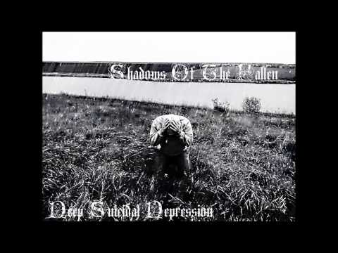 Shadows Of The Fallen - Diary Of Dead