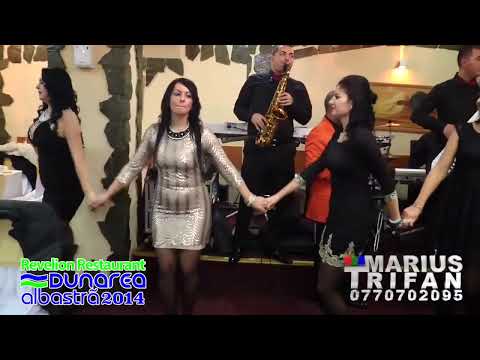 Revelion Dunarea Albastra 2014 - 03 Damian Conac