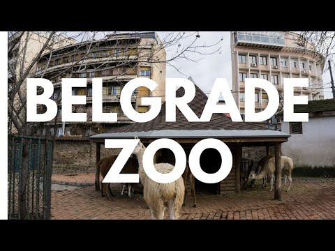 The Belgrade Zoo in Belgrade, Serbia