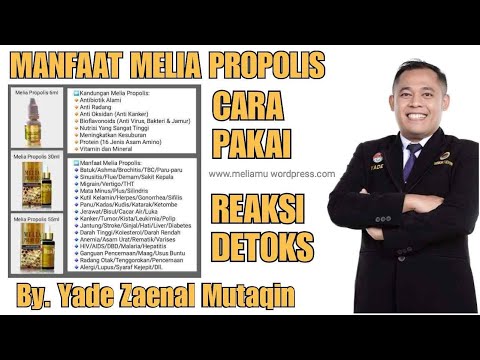 Untuk Propolis Mata Untuk Propolis Mata