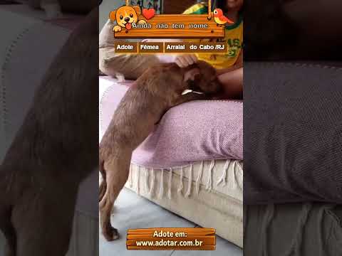 Vídeo de Ainda não tem nome