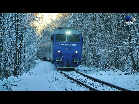 Horns Concert de Goarne By Jimmy 64-1300-4 in Munții Apuseni Mountains - 08 January 2020