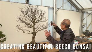 Beautiful Beech Tree Bonsai