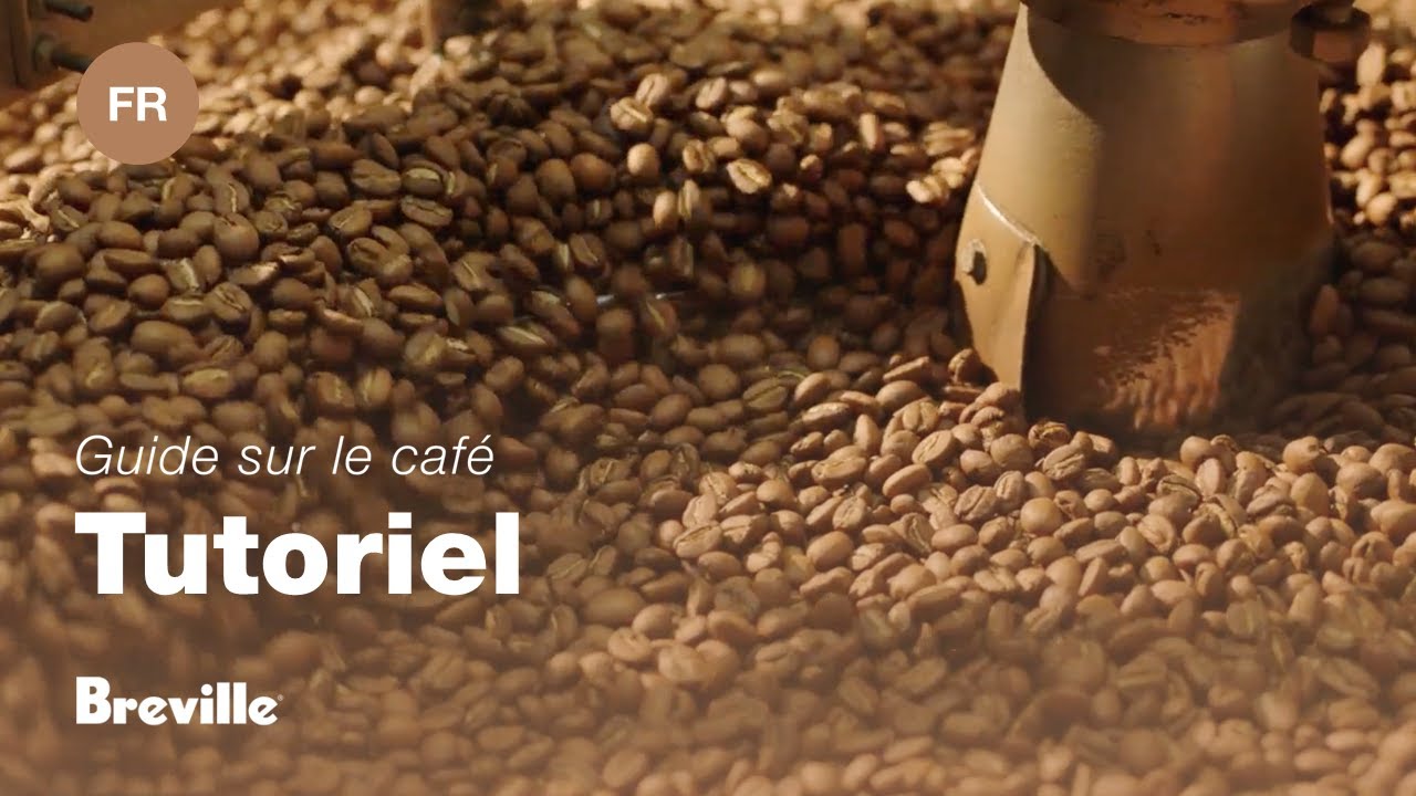 Guide didactique du café Breville - Choisir les bons grain