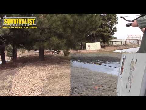 Crossbow VS Longbow VS Crossbow Pistol