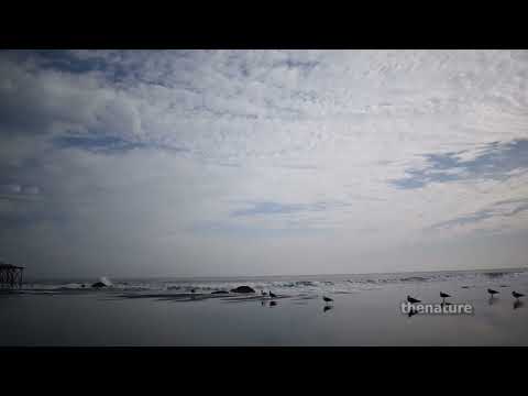 Playa Llico Vichuquén Maule Chile 3