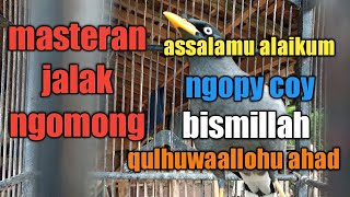 Download lagu Masteran jalak ngomong assalamu alaikum,ngopi coy,kulhu mp3