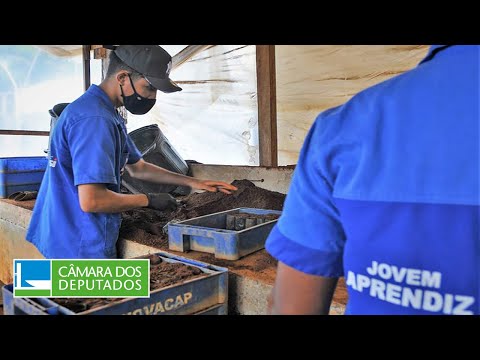 PL 6461/19 - Audiência discute projeto que cria o Estatuto do Aprendiz – 15/02/2022