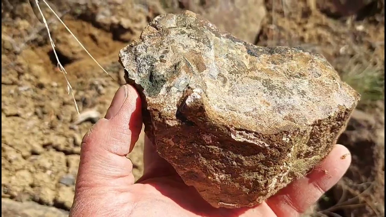 Rockhounding in Oregon for Petrified Wood, Agates and Calcite January 2022