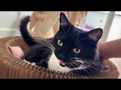 YouTube 썸네일