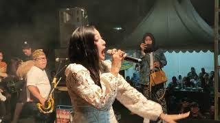 Download lagu Elsa Safira sampe tuwek di kulonprogo yogyakarta mp3