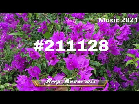 Relaxing Deep house  mix Trance #211128