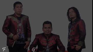 Download lagu PERMATA TRIO III DANG PENGHIANAT AU II KARAOKE mp3