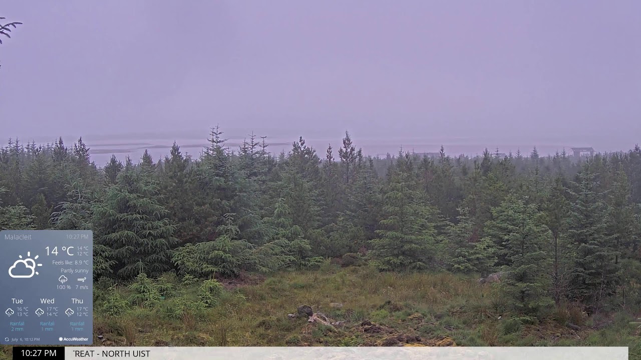 Live webcam view of Forest, Beach and Sea Panorama