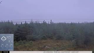 Na h-Eileanan Siar · FROM UIST FOREST RETREAT live stream