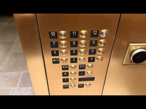 Modded Dover Traction Elevators ~ The Mutiny Hotel ~ Miami, FL