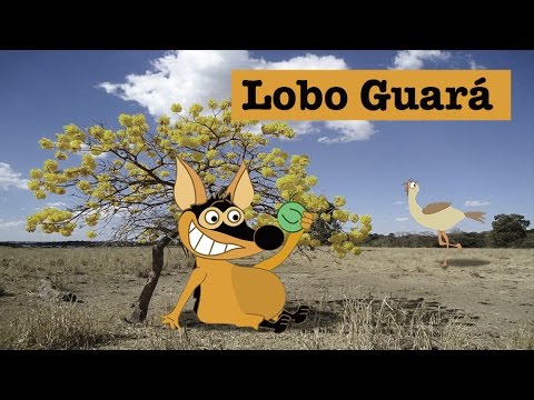 Lobo Guará