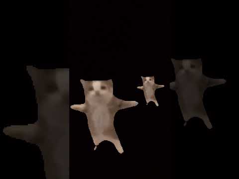 New song 🎵 ✨️ 😍 👌 💕