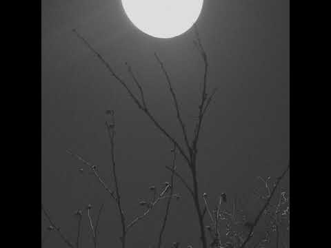 goldbranch - Saturdays 04 놓아버린 손 (Unholded Hand) D minor