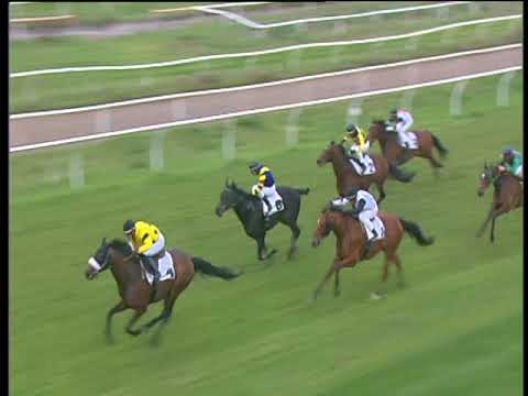 Galoppo 22/03/2018 - 4ª corsa