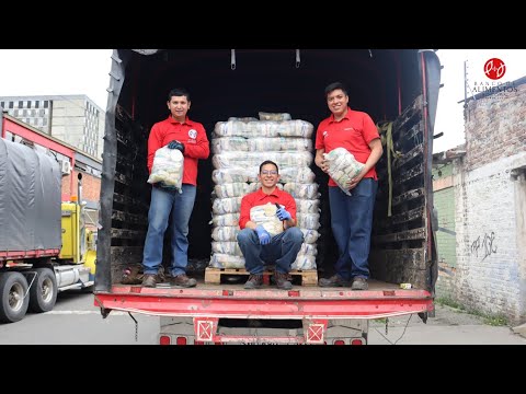 Nourishing Dreams: A Bright Future for 120 kids!