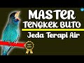 MASTER Tengkek Buto Jeda Terapi Air