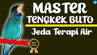 Download lagu MASTER Tengkek Buto Jeda Terapi Air mp3 Download lagu MASTER Tengkek Buto Jeda Terapi Air mp3
