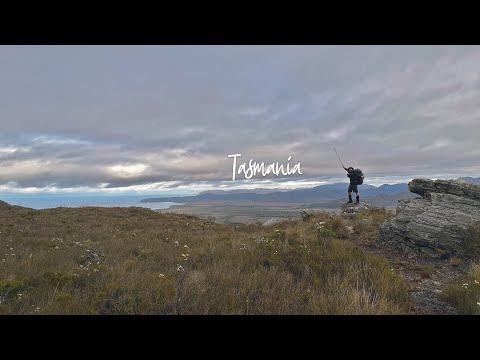 Hiking the South Coast Track - An incredible wilderness experience in Southwest Tasmania