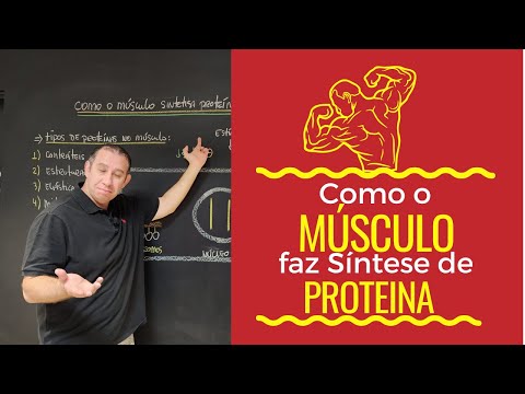 How Muscle Performs Protein Synthesis