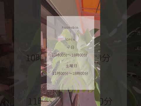 うちのモンステラ・デリシオサが泣いているのはなぜですか？これは悪い兆候ですか？  庭園