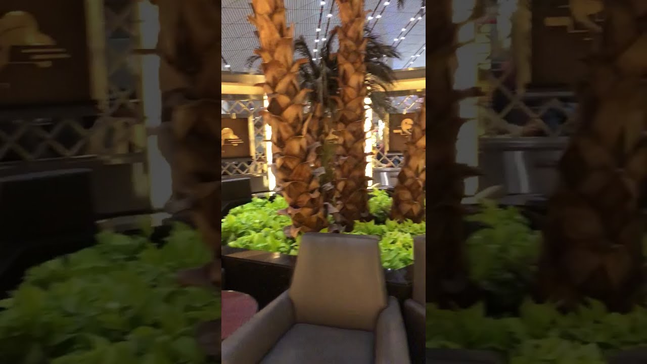 Air China First & Business Class Lounge thumbnail